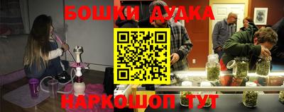 индика Абинск