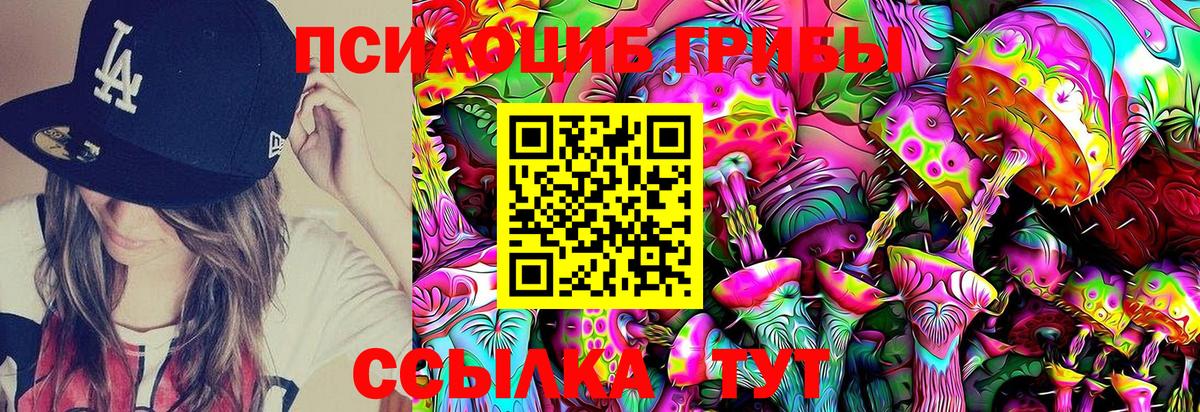 Галлюциногенные грибы MAGIC MUSHROOMS Гурьевск