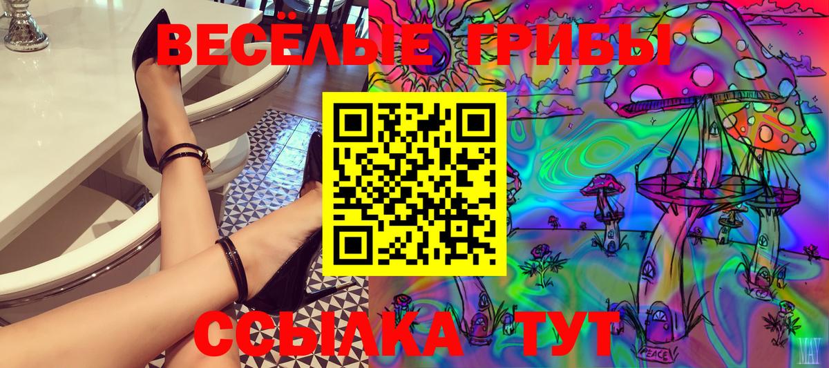 Галлюциногенные грибы Magic Shrooms  Гурьевск  Галлюциногенные грибы Magic Shrooms 