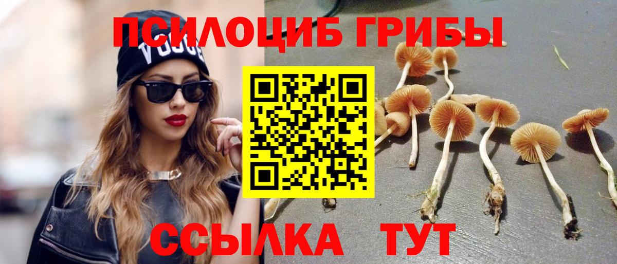 Псилоцибиновые грибы Psilocybe  Вход с VPN  Гурьевск 