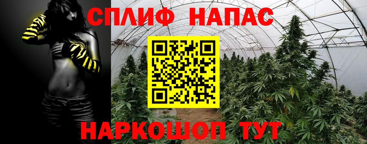 Марихуана OG Kush Гурьевск